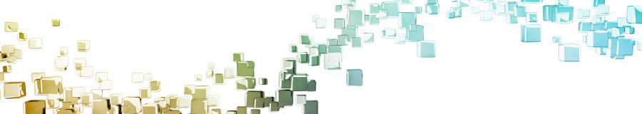 Data Collection Data Collection